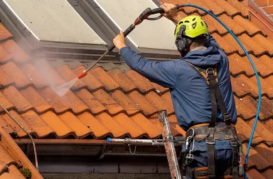 Démoussage et hydrofuge de toiture à Génissieux